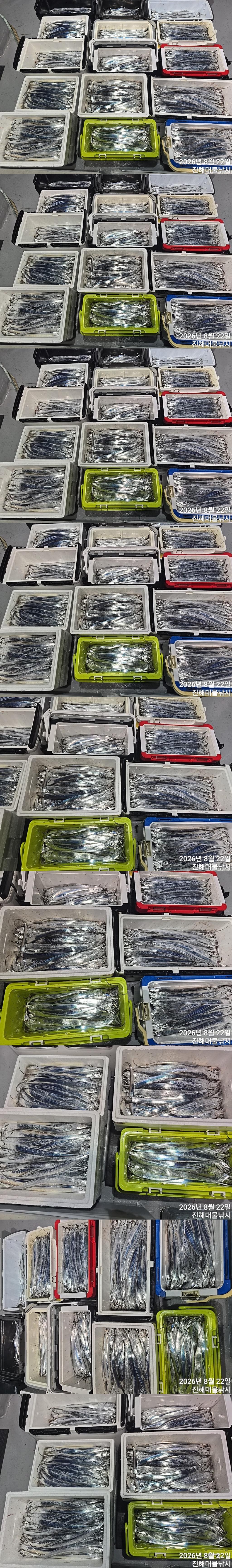 낚시뚜,갈치,진해1부두항,진해대물낚시,낚시뚜1
