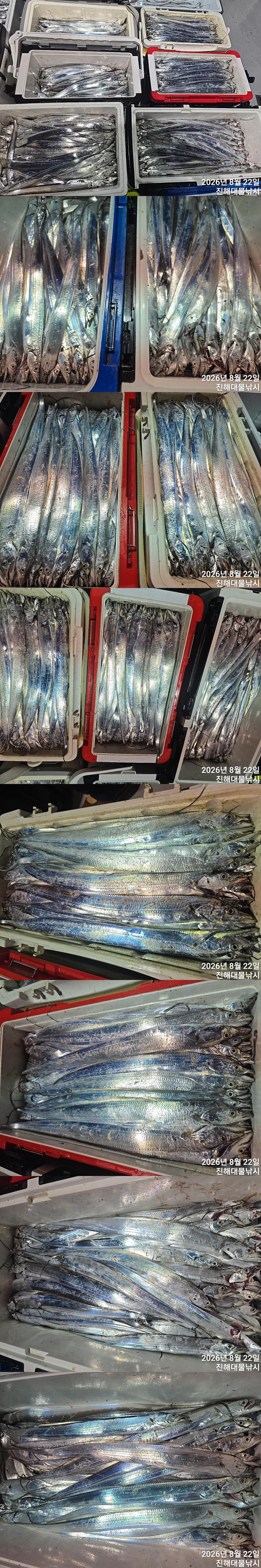 낚시뚜,갈치,진해1부두항,진해대물낚시,낚시뚜2