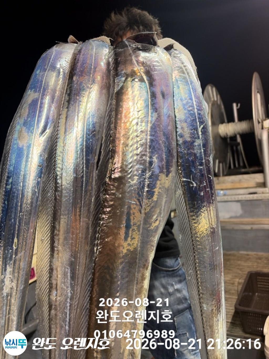 낚시뚜,갈치,완도항,완도 오렌지호,낚시뚜14