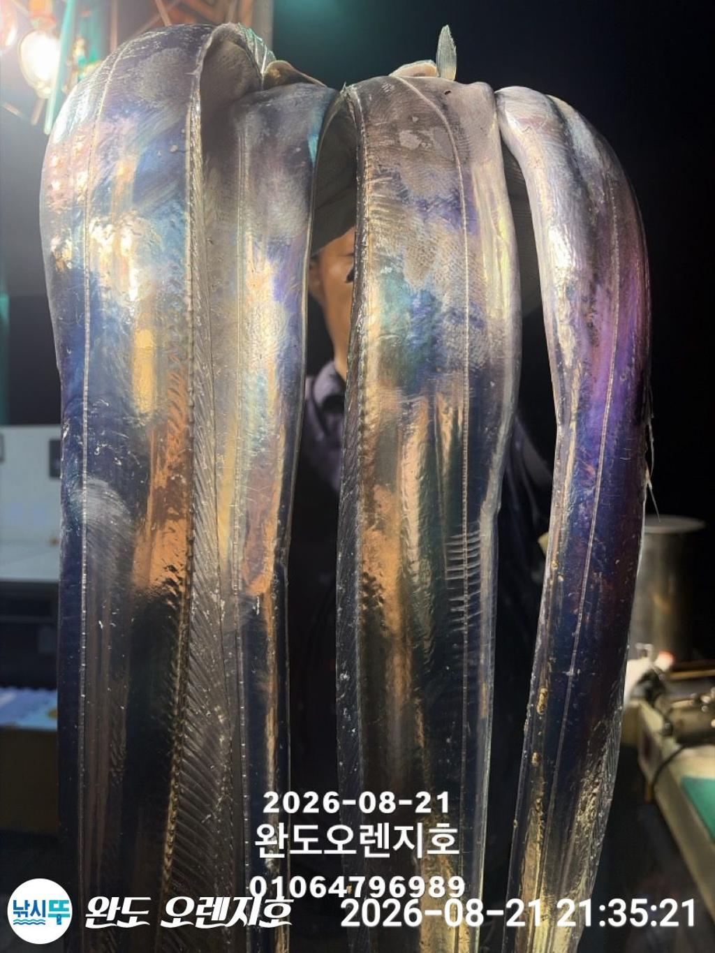 낚시뚜,갈치,완도항,완도 오렌지호,낚시뚜12