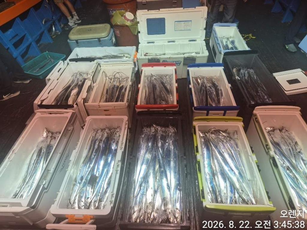 낚시뚜,갈치,삼포항,삼포대교낚시,낚시뚜7