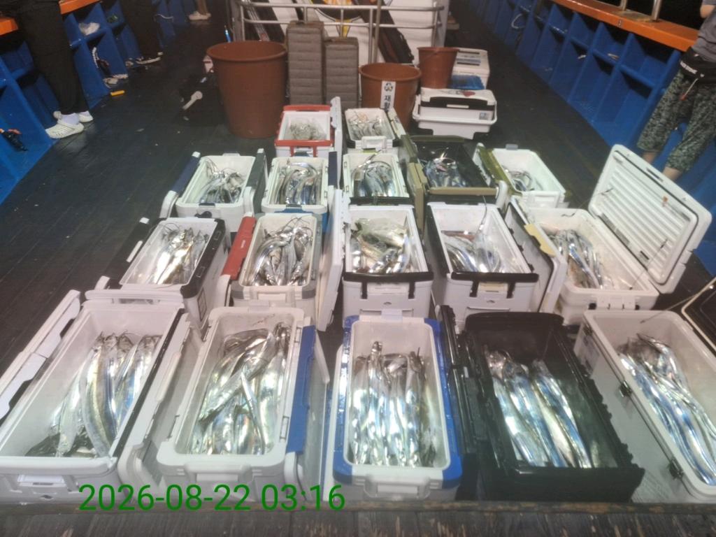낚시뚜,갈치,삼포항,삼포대교낚시,낚시뚜11