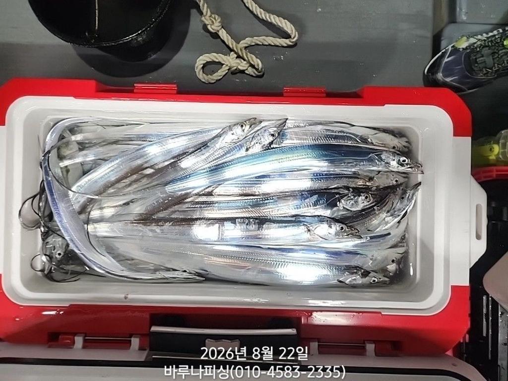 낚시뚜,갈치,속천항(진해),바루나피싱,낚시뚜11