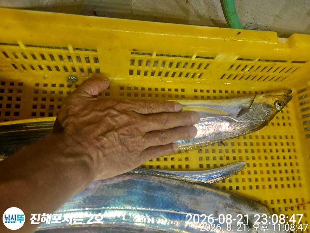 낚시뚜,갈치,진해행암항,진해포시즌 2호,낚시뚜10