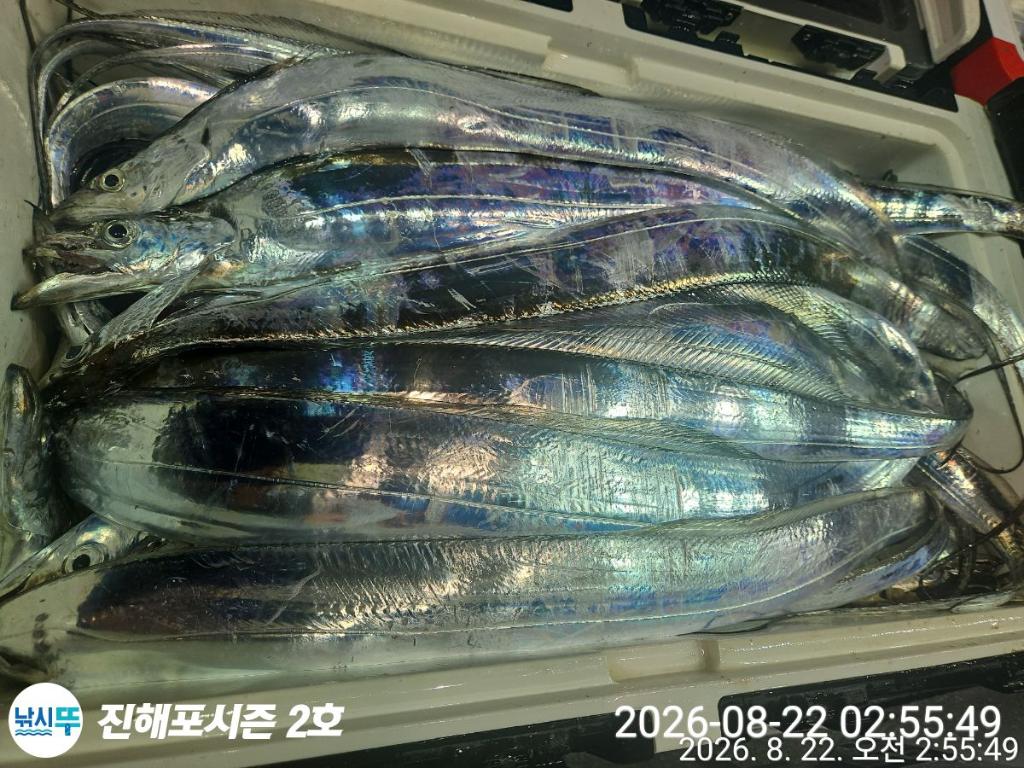 낚시뚜,갈치,진해행암항,진해포시즌 2호,낚시뚜9