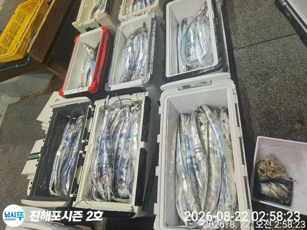 낚시뚜,갈치,진해행암항,진해포시즌 2호,낚시뚜4