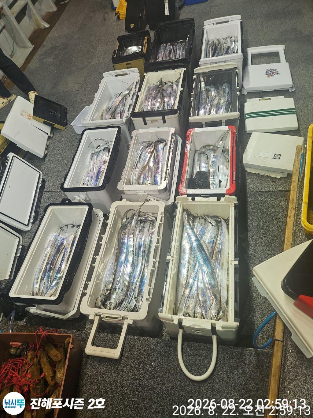 낚시뚜,갈치,진해행암항,진해포시즌 2호,낚시뚜2