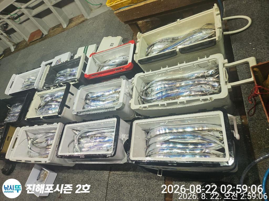낚시뚜,갈치,진해행암항,진해포시즌 2호,낚시뚜1