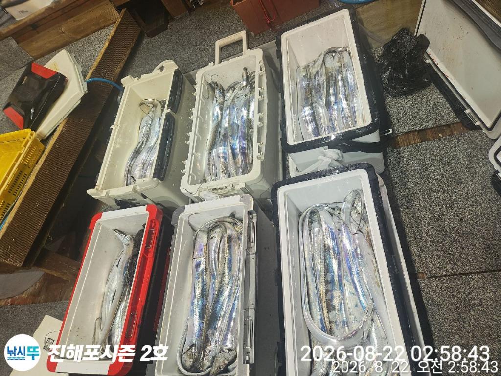 낚시뚜,갈치,진해행암항,진해포시즌 2호,낚시뚜0