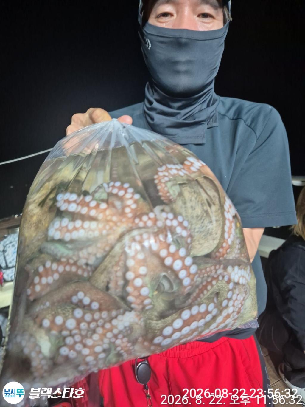 낚시뚜,돌문어,삼천포 팔포항,삼천포 블랙스타,낚시뚜6