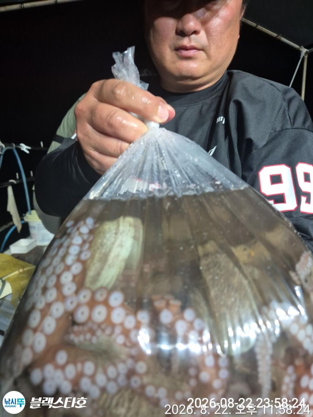 낚시뚜,돌문어,삼천포 팔포항,삼천포 블랙스타,낚시뚜2