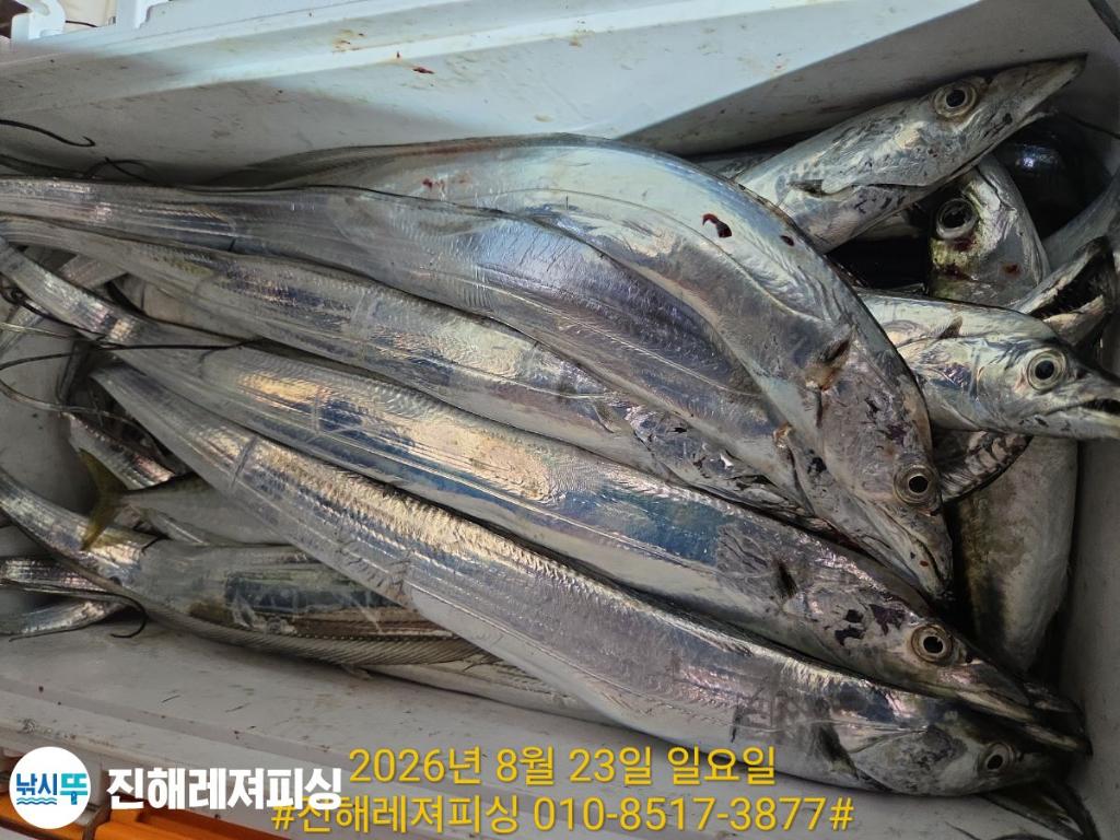 낚시뚜,갈치,진해1부두항,진해레져피싱,낚시뚜28