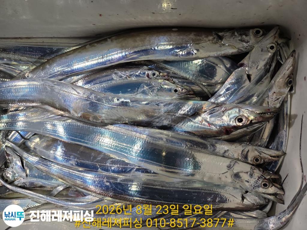 낚시뚜,갈치,진해1부두항,진해레져피싱,낚시뚜27