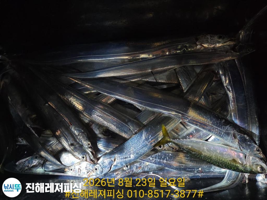 낚시뚜,갈치,진해1부두항,진해레져피싱,낚시뚜26