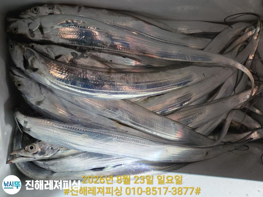 낚시뚜,갈치,진해1부두항,진해레져피싱,낚시뚜22
