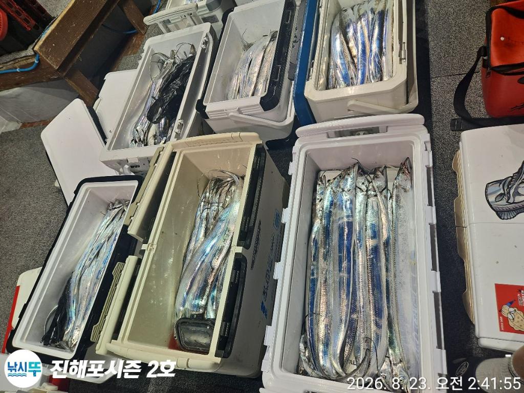 낚시뚜,갈치,진해행암항,진해포시즌 2호,낚시뚜22