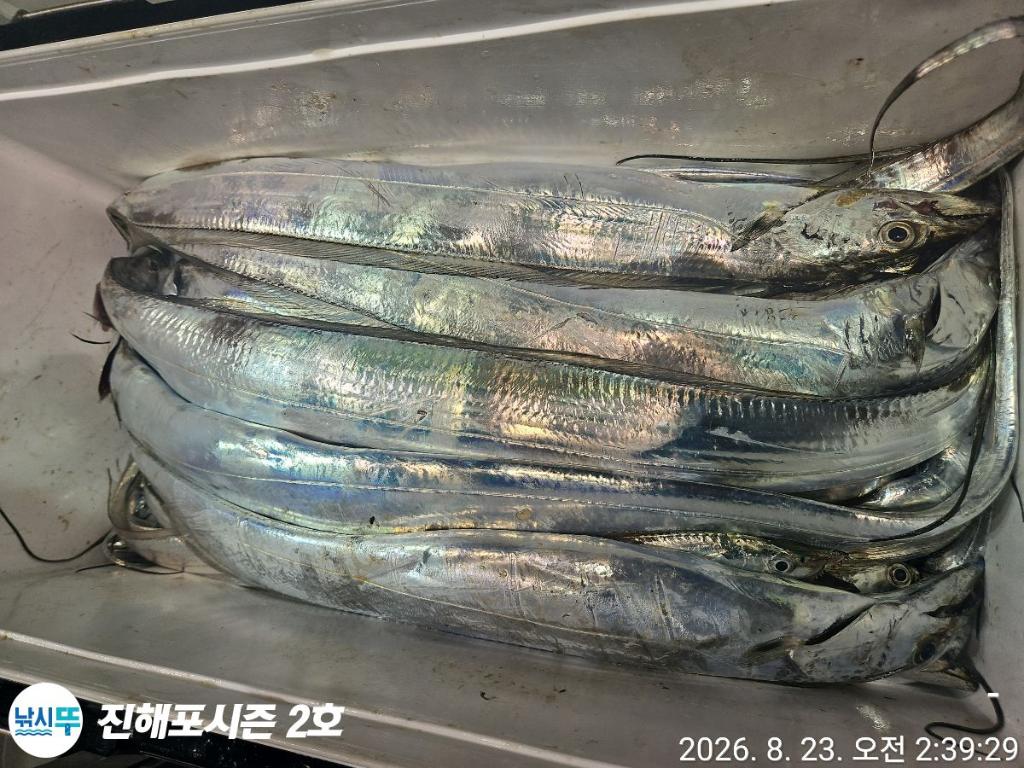 낚시뚜,갈치,진해행암항,진해포시즌 2호,낚시뚜11