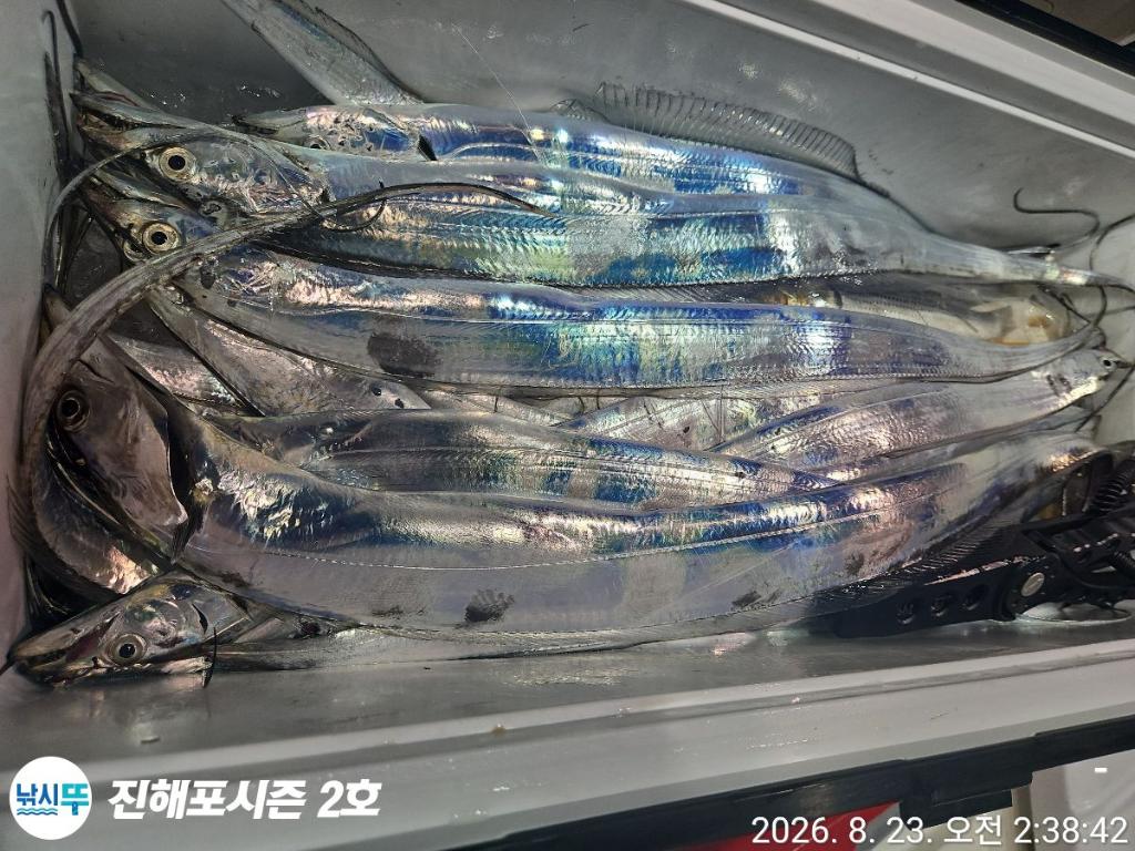 낚시뚜,갈치,진해행암항,진해포시즌 2호,낚시뚜10
