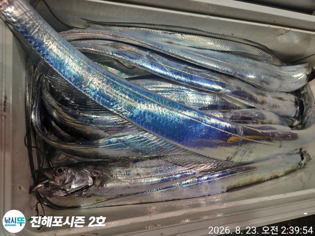 낚시뚜,갈치,진해행암항,진해포시즌 2호,낚시뚜9