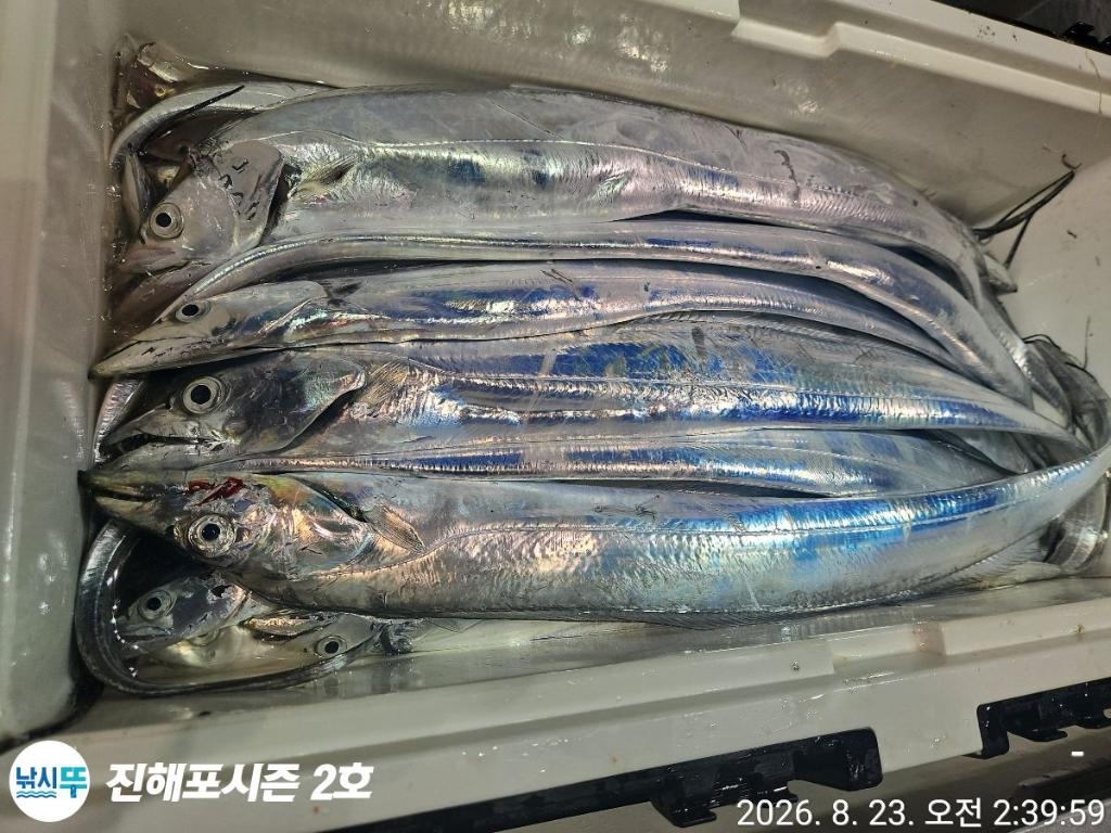 낚시뚜,갈치,진해행암항,진해포시즌 2호,낚시뚜8