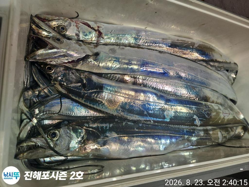 낚시뚜,갈치,진해행암항,진해포시즌 2호,낚시뚜7