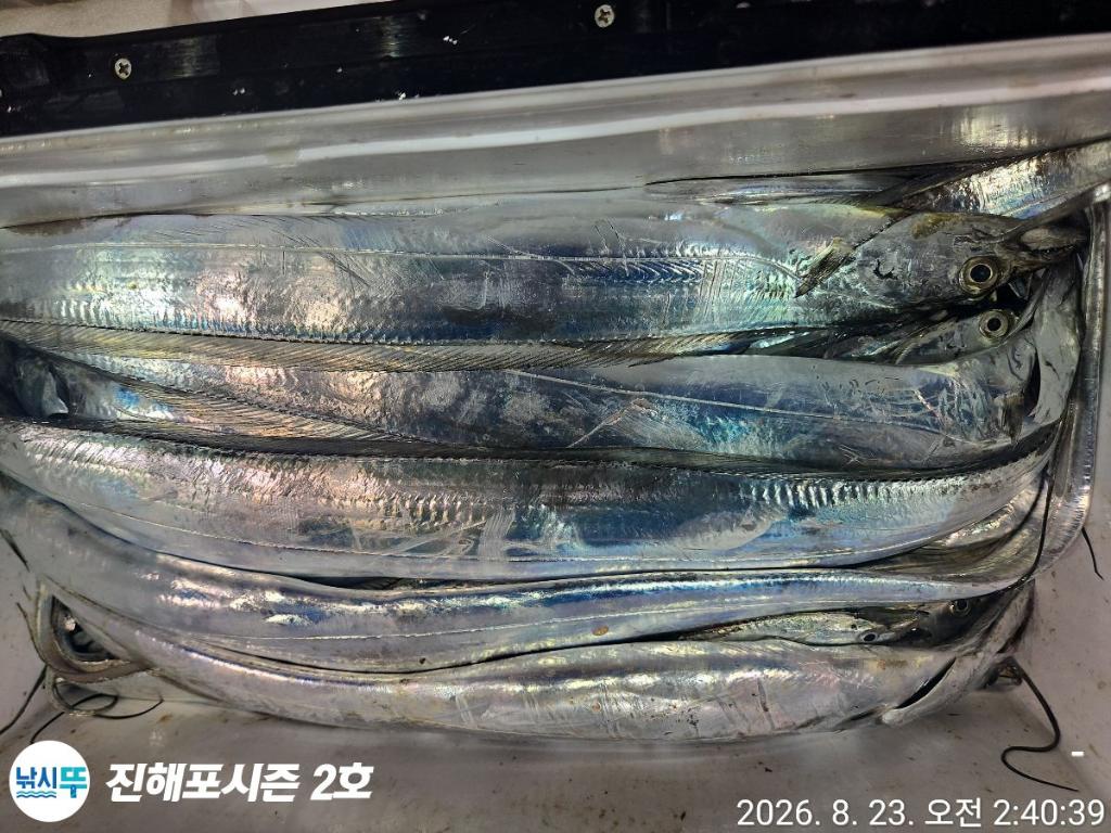낚시뚜,갈치,진해행암항,진해포시즌 2호,낚시뚜6