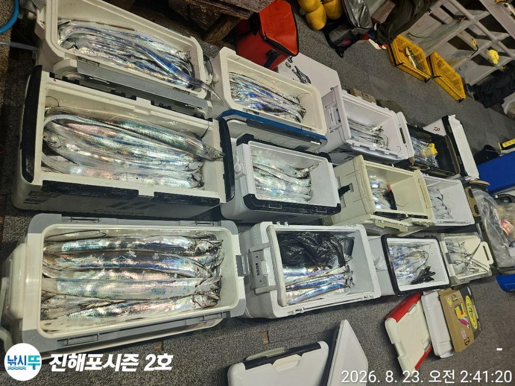 낚시뚜,갈치,진해행암항,진해포시즌 2호,낚시뚜3