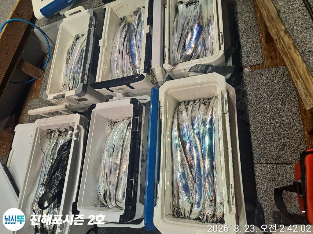 낚시뚜,갈치,진해행암항,진해포시즌 2호,낚시뚜2