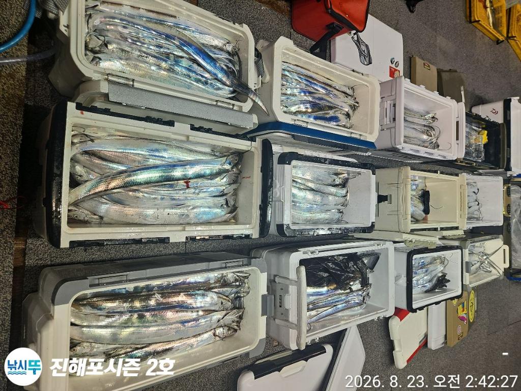 낚시뚜,갈치,진해행암항,진해포시즌 2호,낚시뚜1