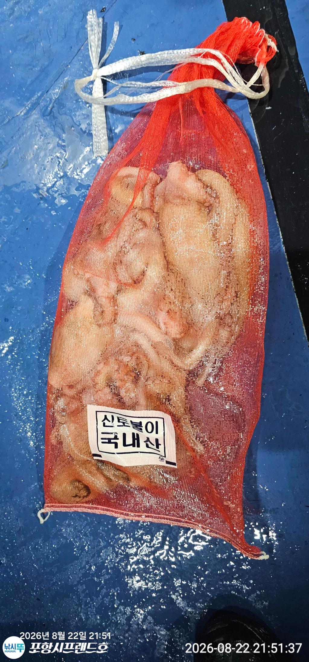 낚시뚜,돌문어,영일만항,포항시프랜드호,낚시뚜7