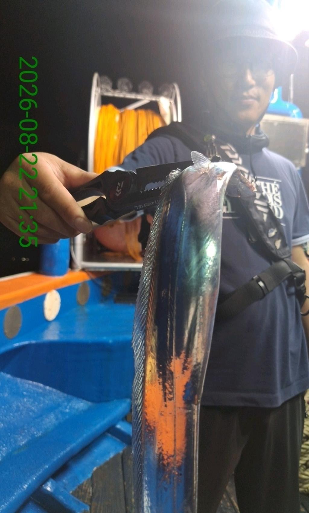 낚시뚜,갈치,삼포항,삼포대교낚시,낚시뚜2
