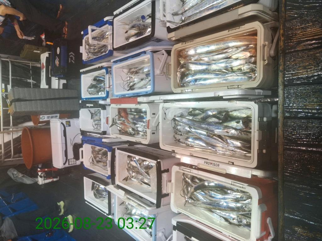 낚시뚜,갈치,삼포항,삼포대교낚시,낚시뚜11