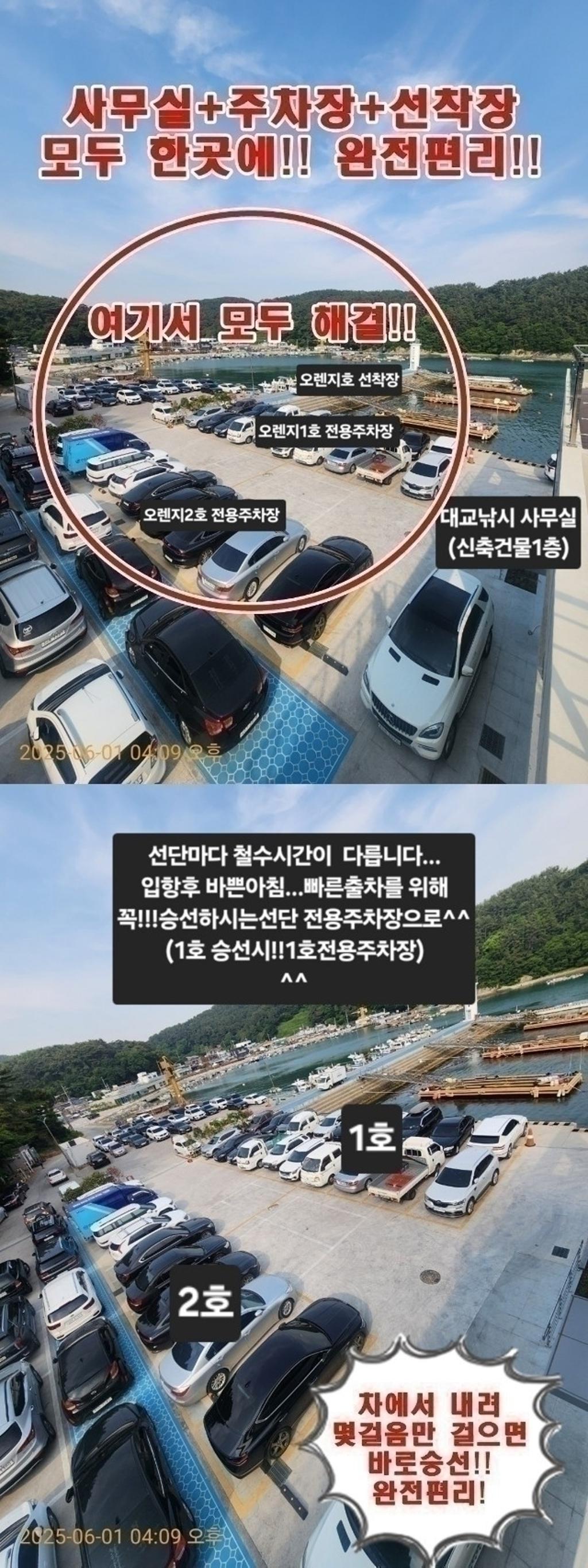 낚시뚜,갈치,삼포항,삼포대교낚시,낚시뚜20