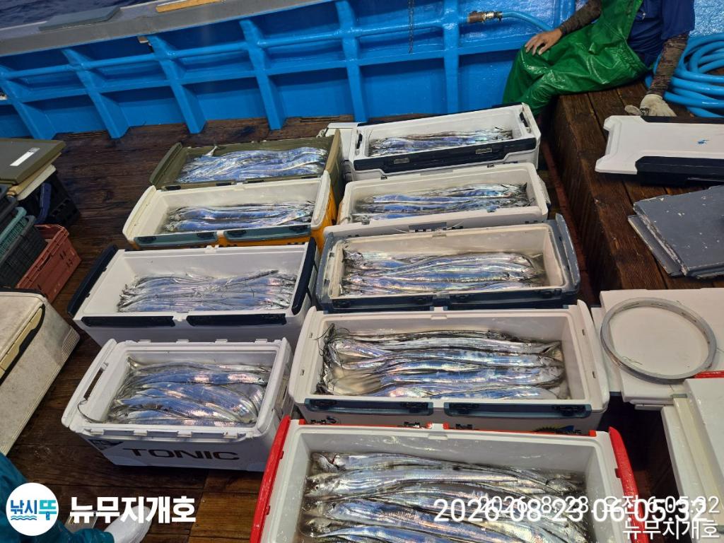 낚시뚜,갈치,통영영운리항,뉴무지개호,낚시뚜13