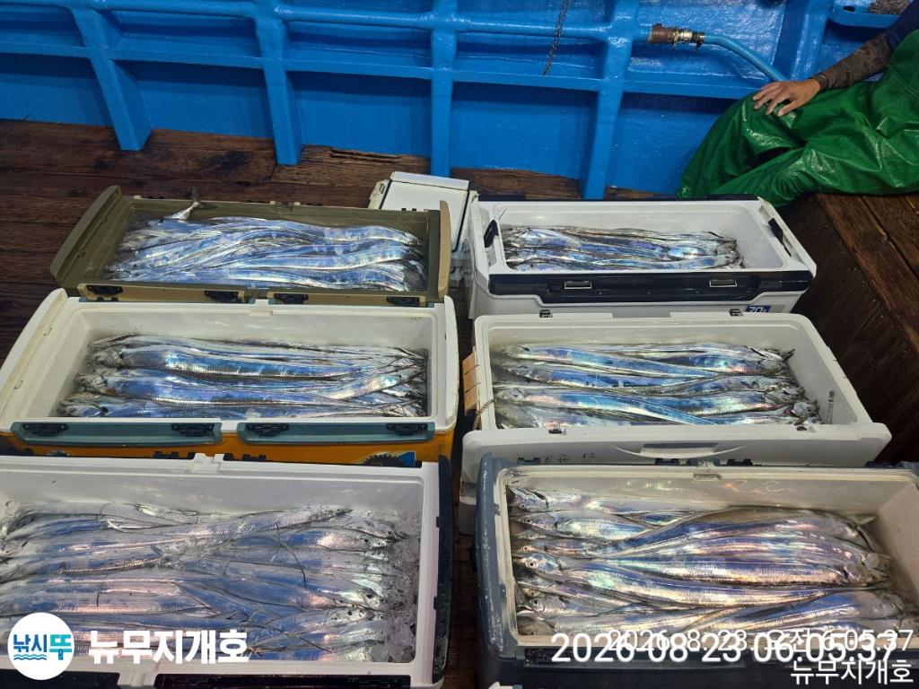 낚시뚜,갈치,통영영운리항,뉴무지개호,낚시뚜12