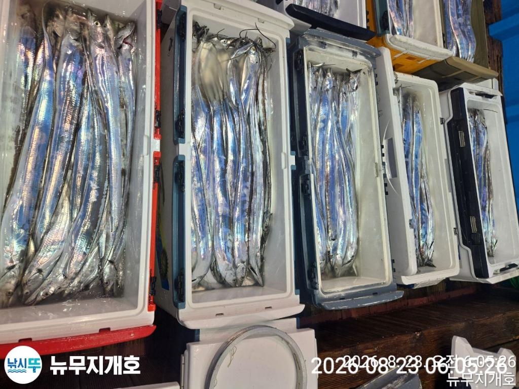낚시뚜,갈치,통영영운리항,뉴무지개호,낚시뚜11