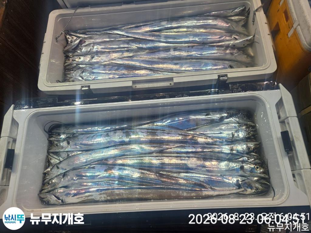 낚시뚜,갈치,통영영운리항,뉴무지개호,낚시뚜9