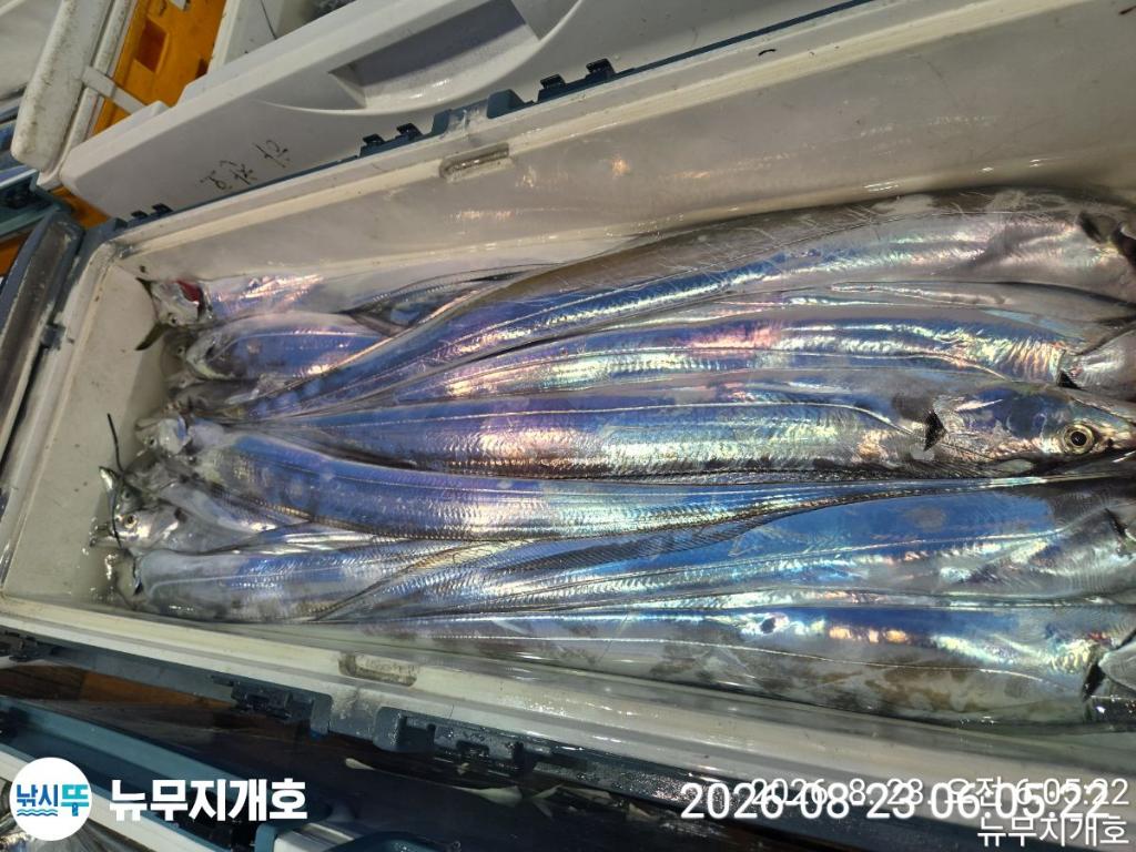 낚시뚜,갈치,통영영운리항,뉴무지개호,낚시뚜8