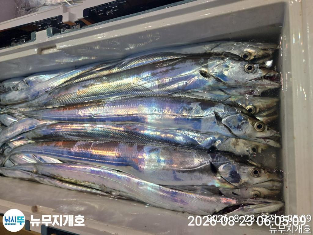 낚시뚜,갈치,통영영운리항,뉴무지개호,낚시뚜4