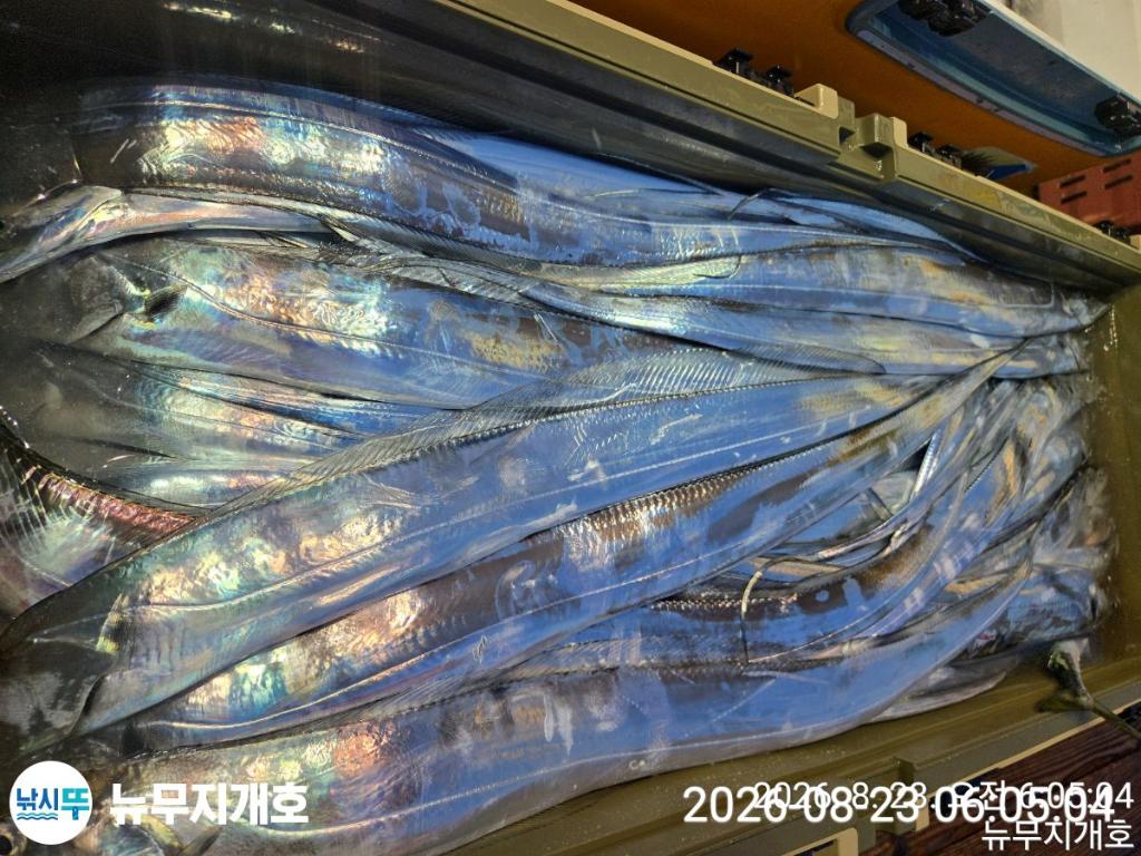 낚시뚜,갈치,통영영운리항,뉴무지개호,낚시뚜0