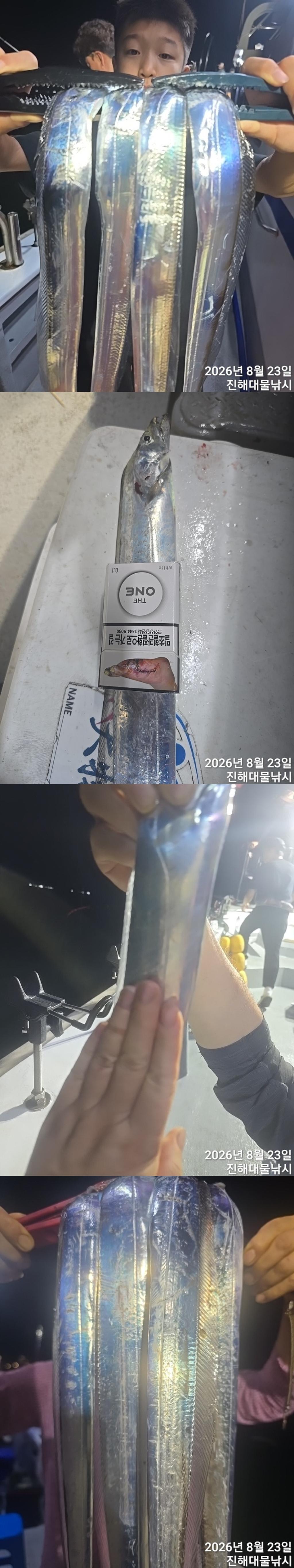 낚시뚜,갈치,진해1부두항,진해대물낚시,낚시뚜2