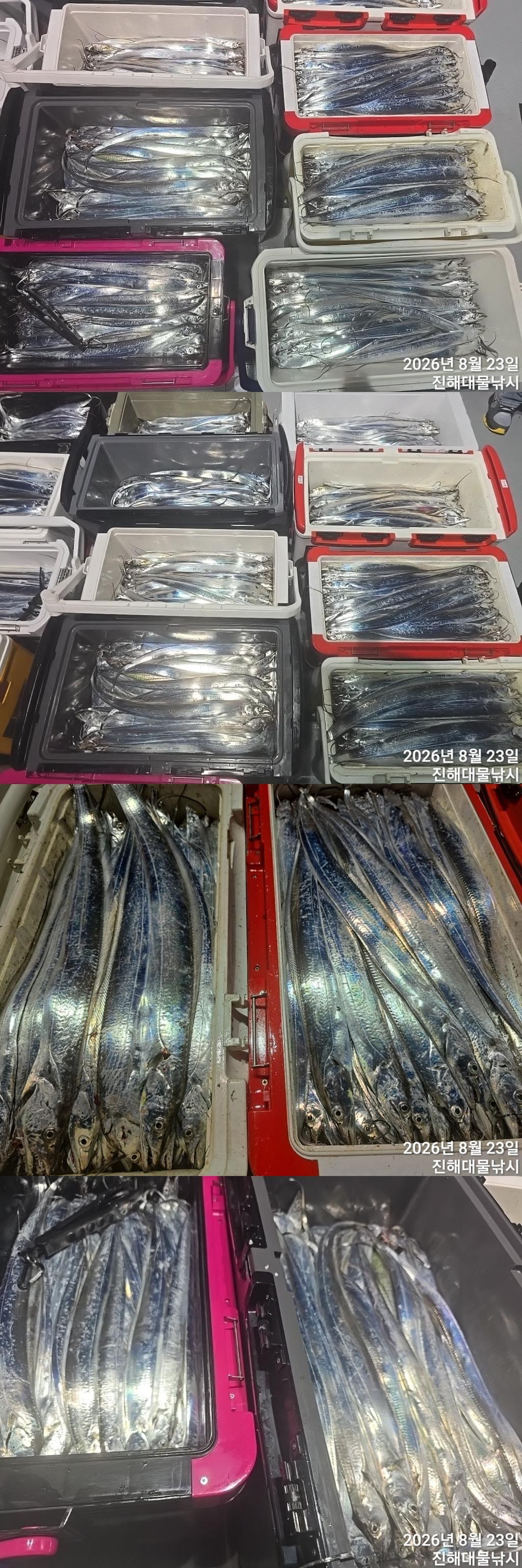 낚시뚜,갈치,진해1부두항,진해대물낚시,낚시뚜6