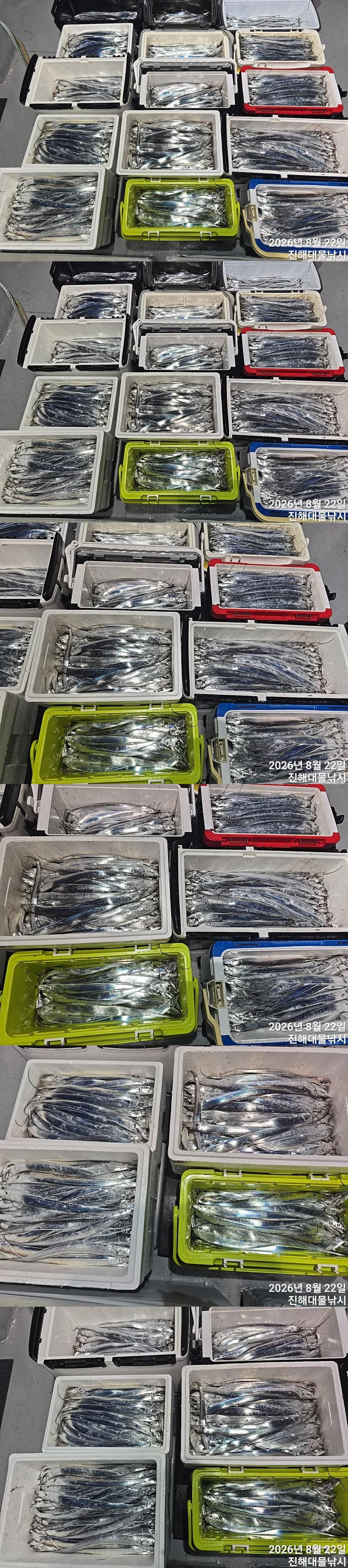낚시뚜,갈치,진해1부두항,진해대물낚시,낚시뚜9