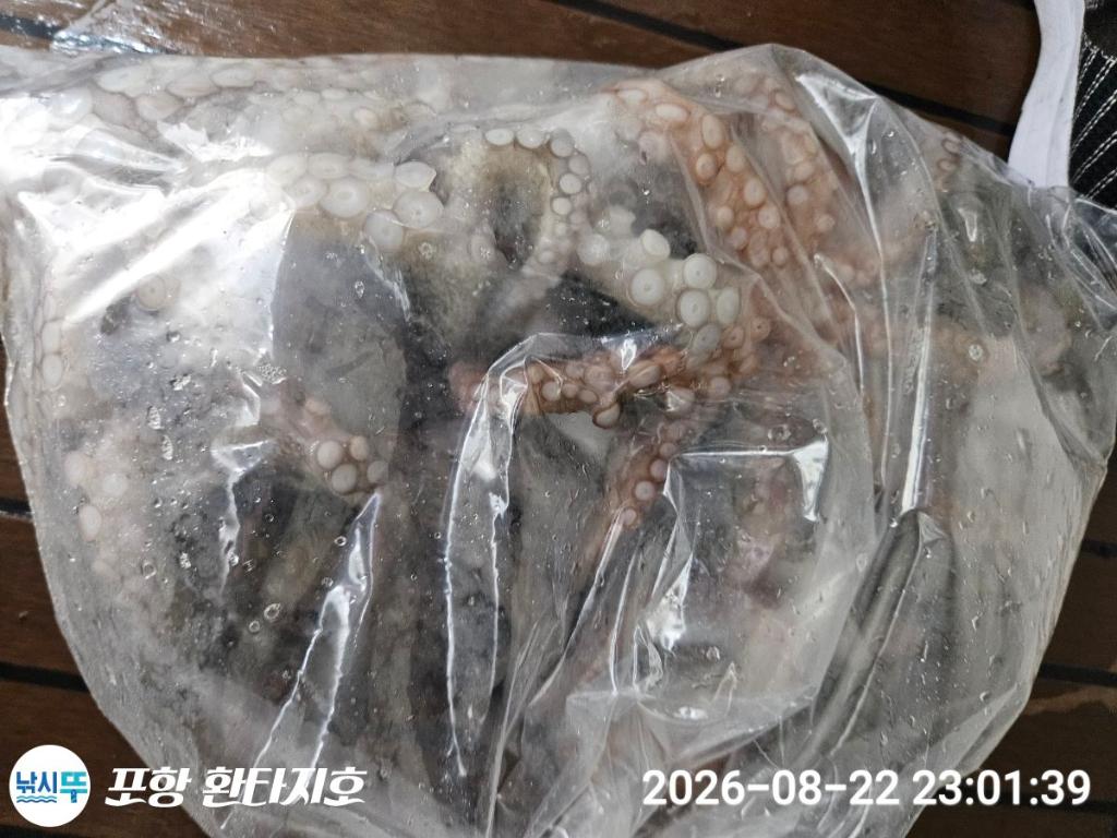 낚시뚜,돌문어,포항 동빈항,포항 환타지호,낚시뚜0
