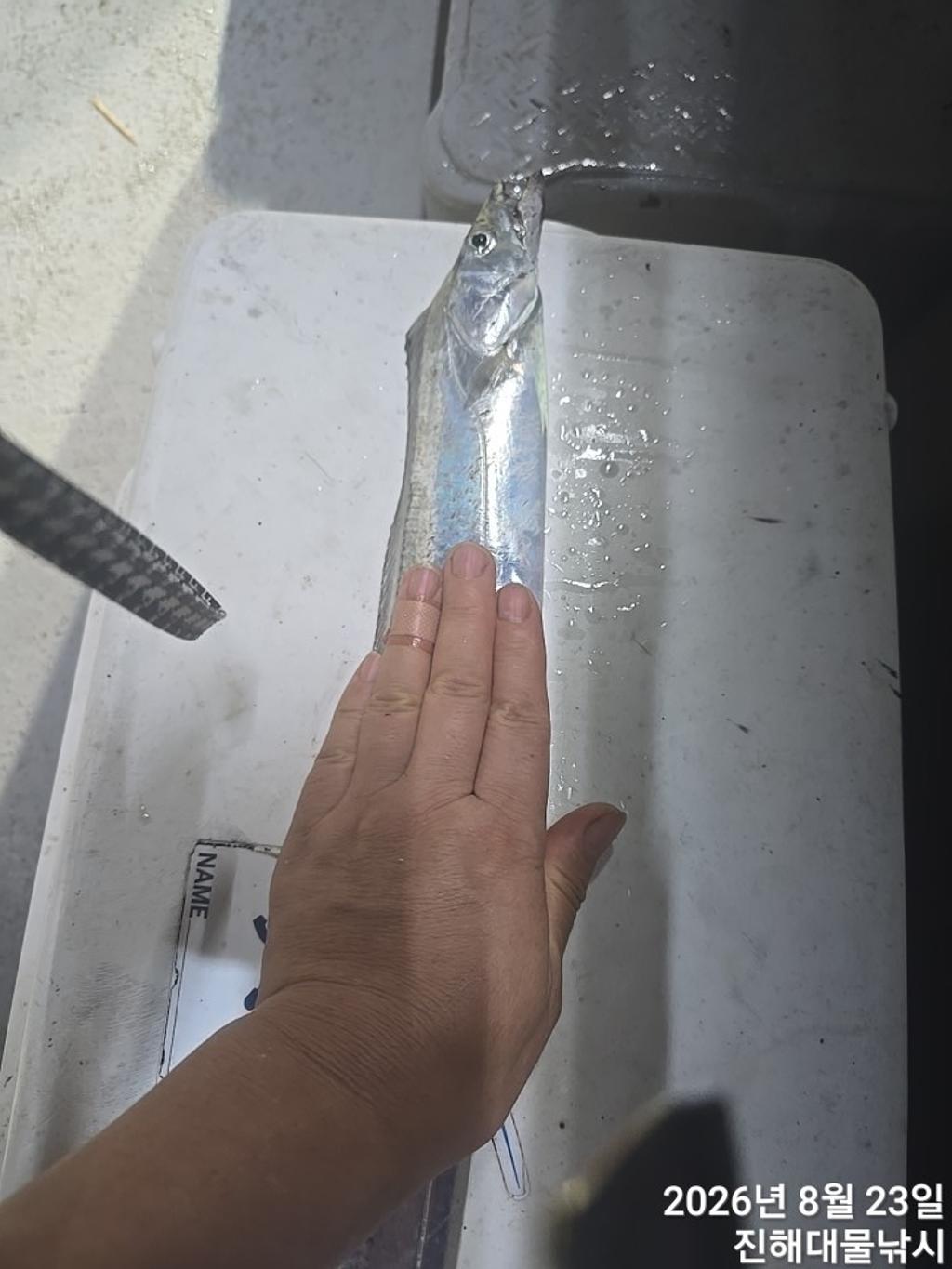 낚시뚜,갈치,진해1부두항,진해대물낚시,낚시뚜1