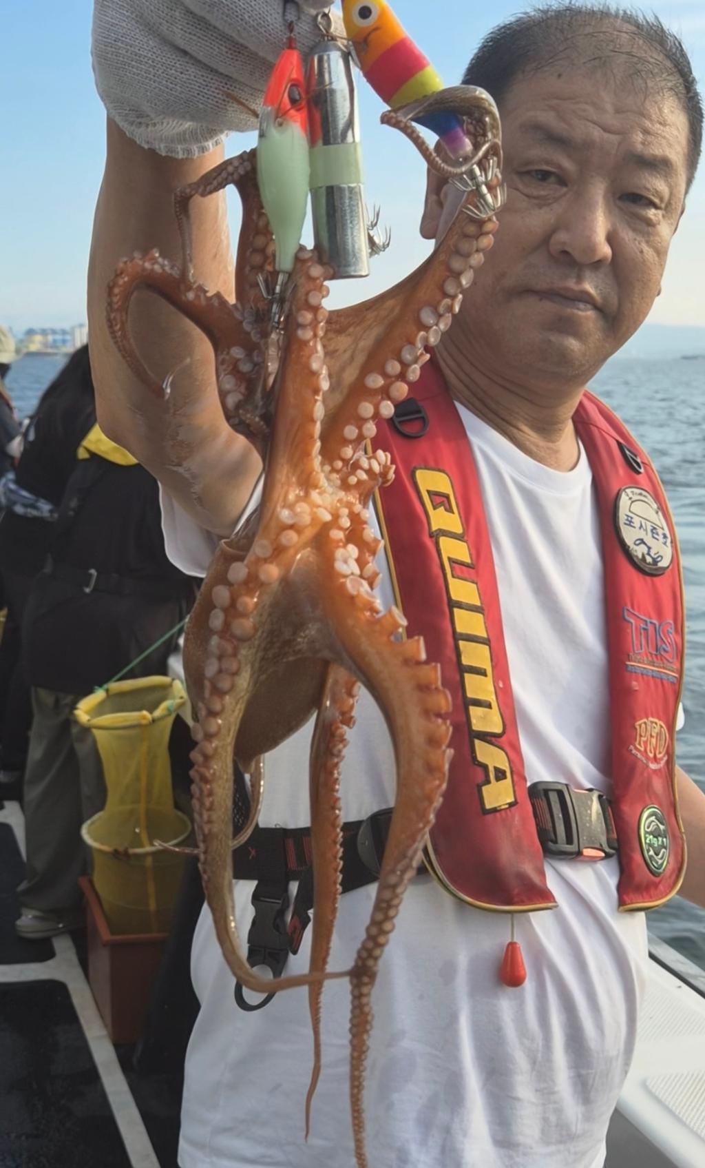 낚시뚜,돌문어,포항여남항,포항포시즌호,낚시뚜2