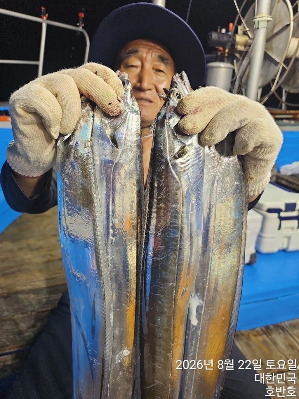 낚시뚜,갈치,통영 신전항,통영호반호,낚시뚜5