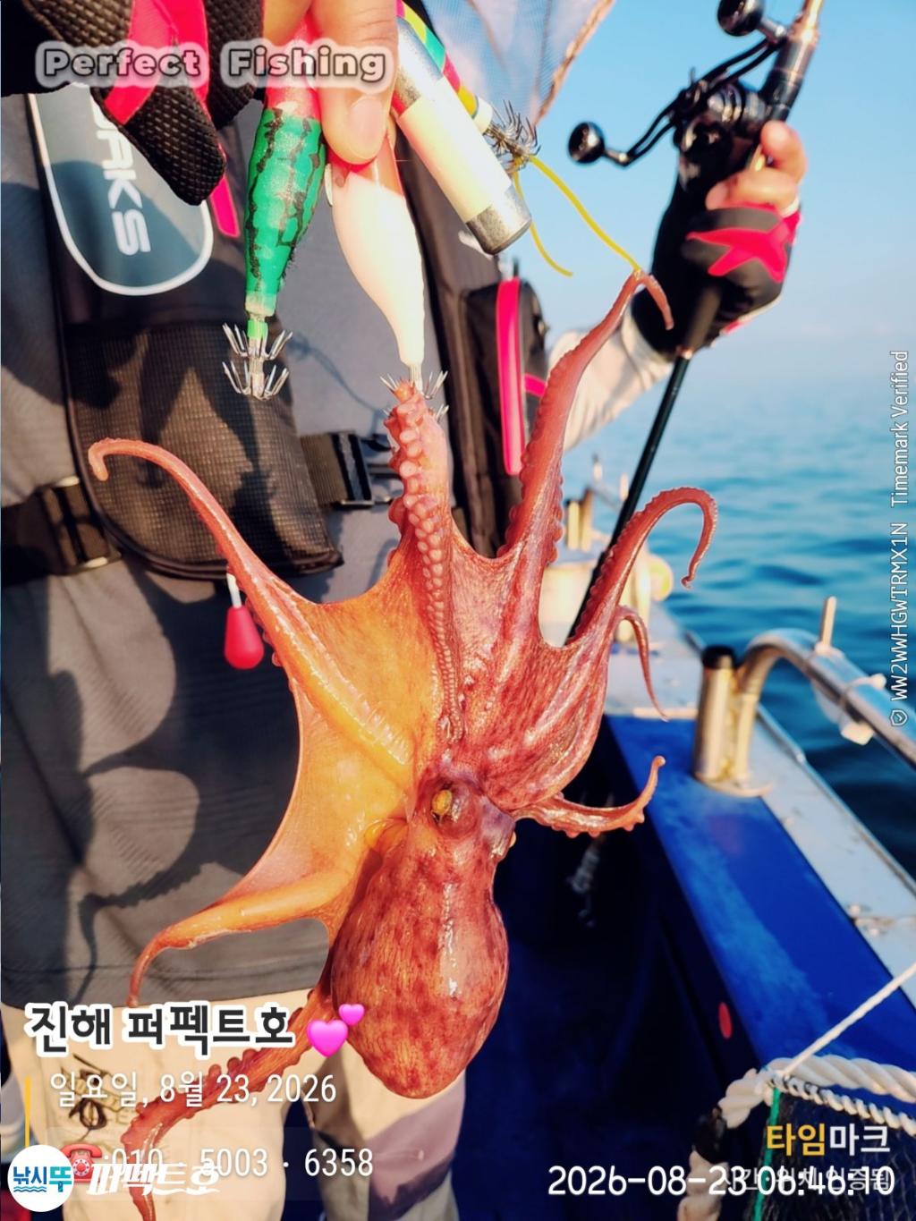 낚시뚜,돌문어,진해 수치마을 방파제,퍼펙트호,낚시뚜22