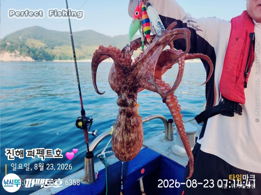 낚시뚜,돌문어,진해 수치마을 방파제,퍼펙트호,낚시뚜20