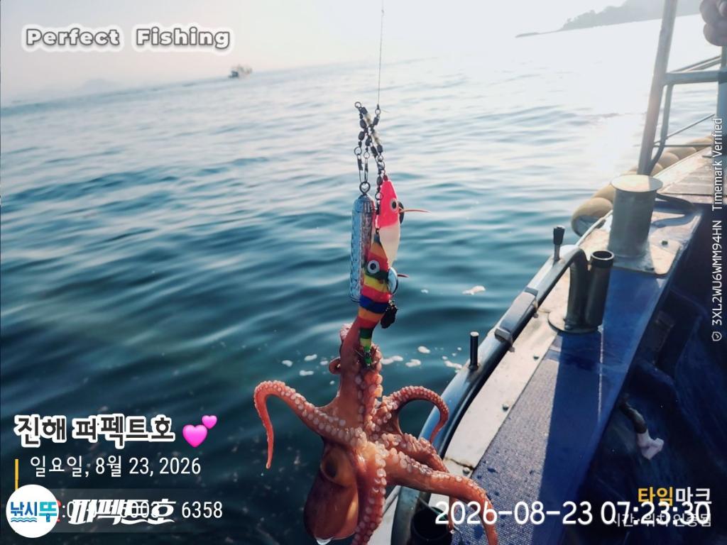 낚시뚜,돌문어,진해 수치마을 방파제,퍼펙트호,낚시뚜19